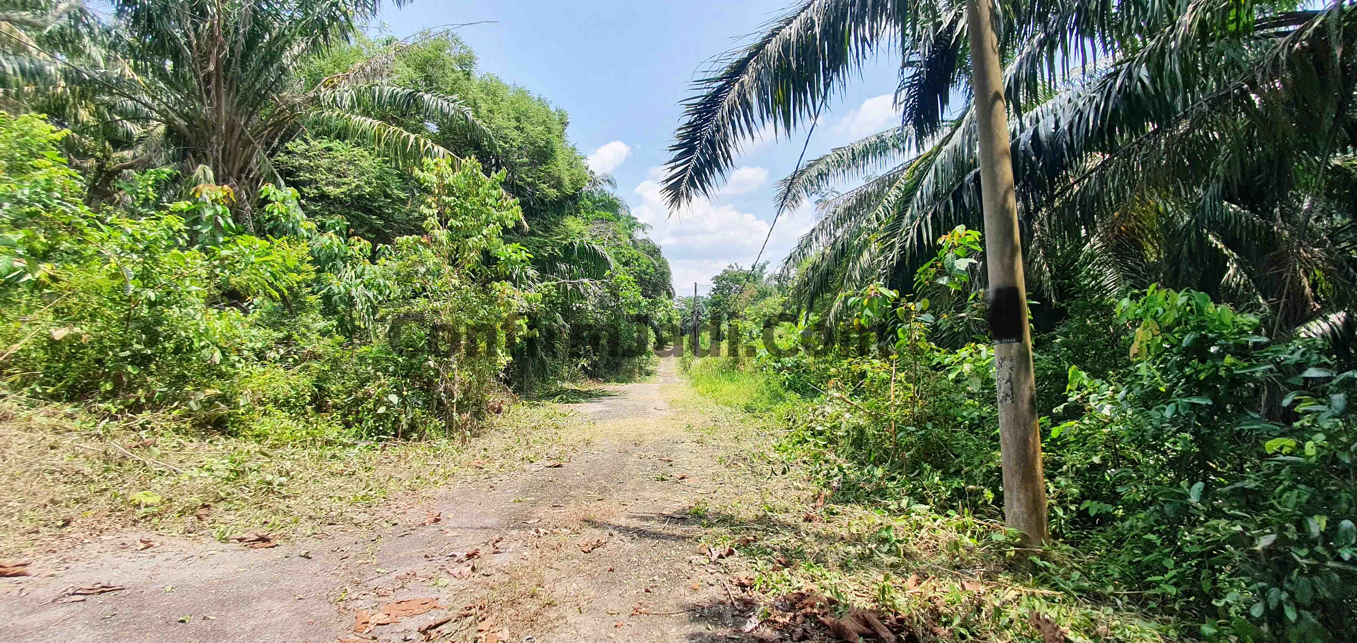 Agriculture land for sale in Negeri Sembilan | ConfirmJadi.com